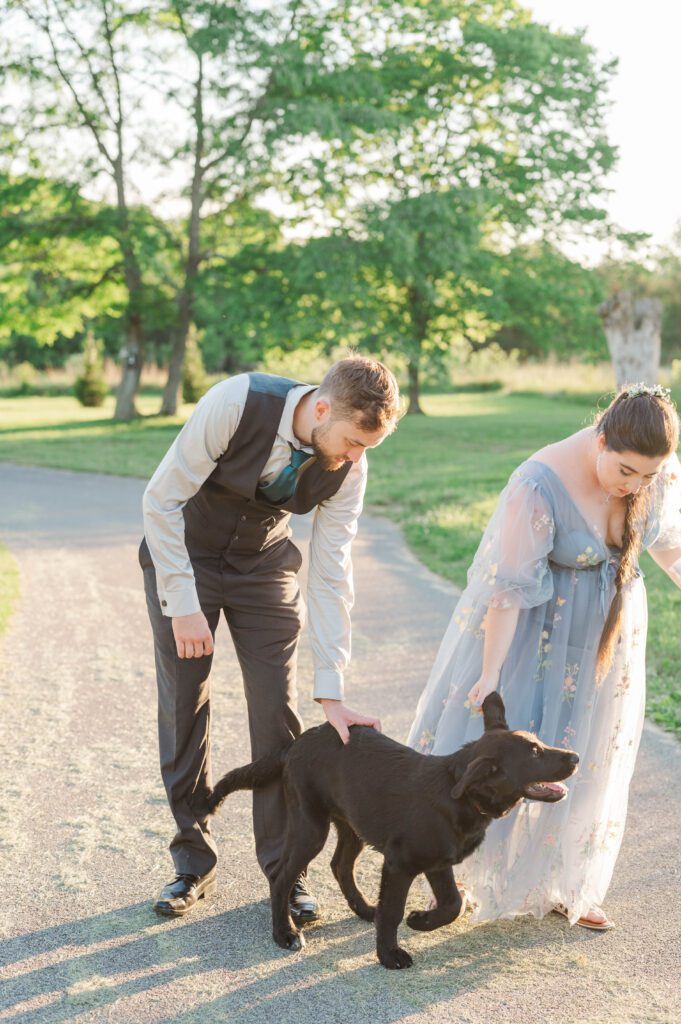 Bride and groom pet a puppy during their wedding reception. 