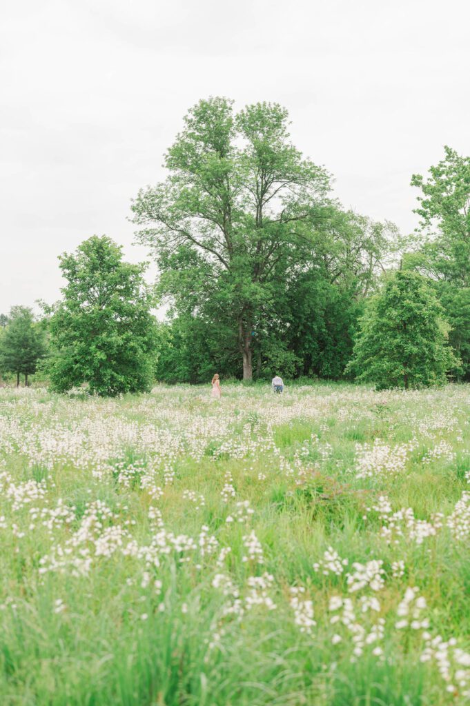 Wildflowers with a family walking in the distance