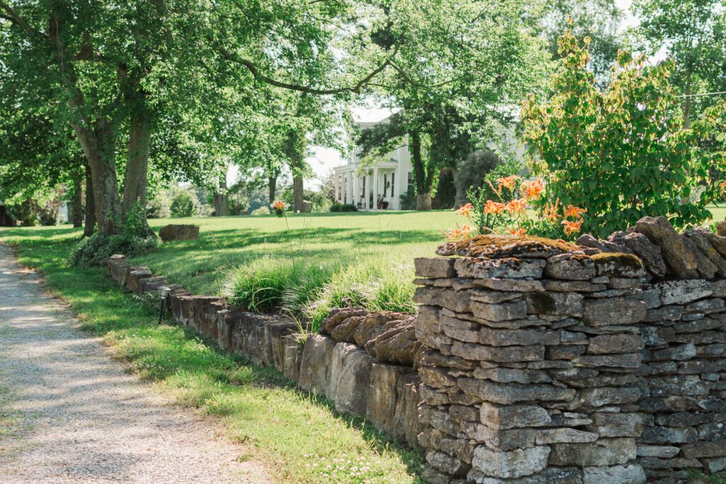 The drive lined with wildflowers and a historic fence