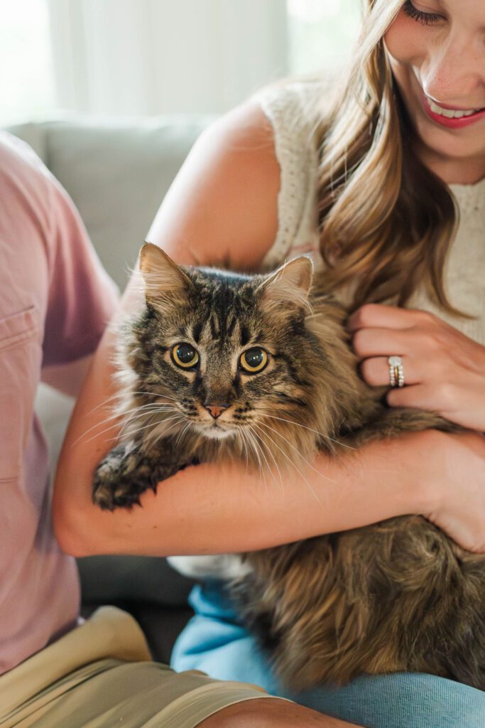 Couple sits together on their couch with their cat