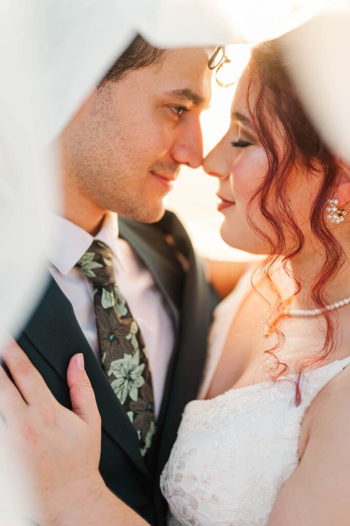 Bride and groom portraits under a cathedral length veil