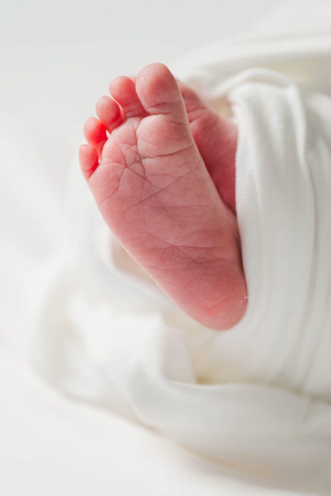 A detail image of a newborn baby's feet.
Louisville In Home Newborn Session
Photos by Michelle Bordenkircher Photography
