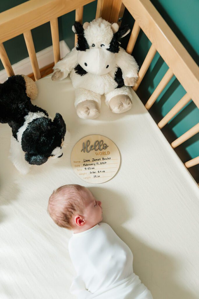 A photo of a swaddled newborn laying in his crib.
Louisville In Home Newborn Session
Photos by Michelle Bordenkircher Photography