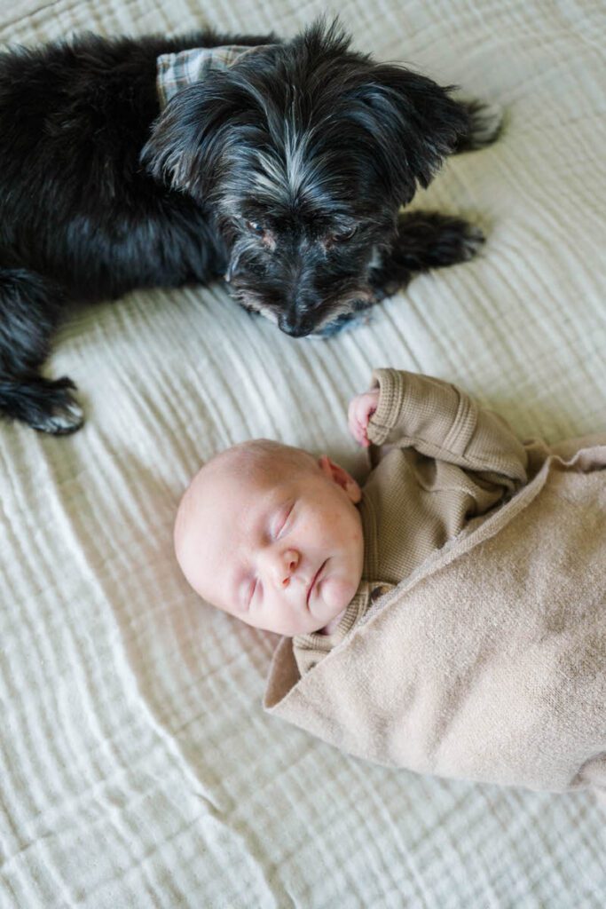 A boy and his dog during baby's Louisville In-Home newborn session
Photos by Michelle Bordenkircher Photography