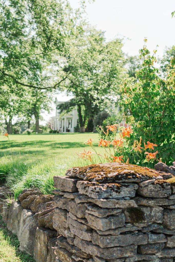 The drive lined with wildflowers and a historic fence