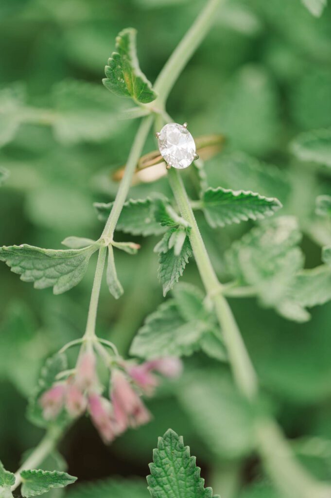 A close up shot of an engagement ring