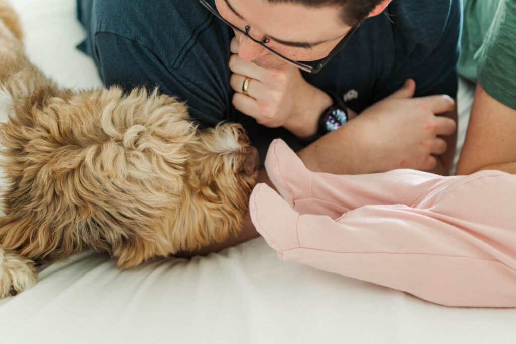 Dog sniffs newborn's feet