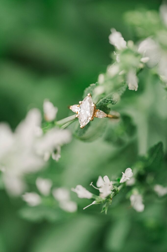 Close up of an engagement ring