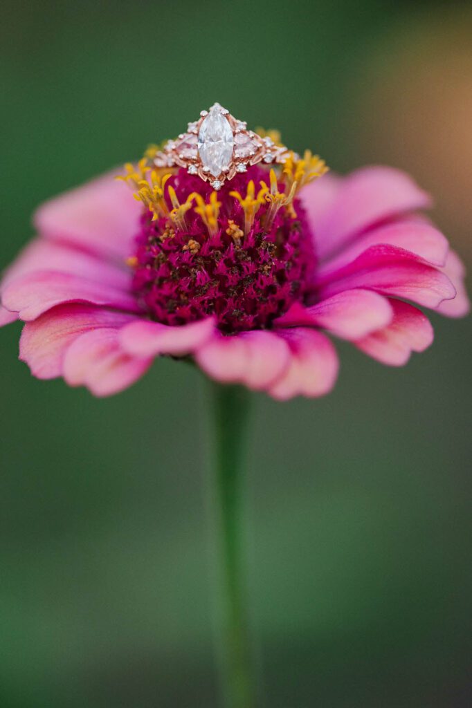 Engagement ring photographed on a flower in Beckley Creek Park