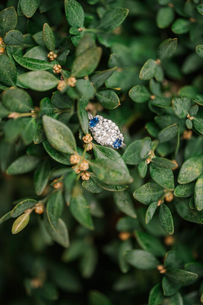 Engagement ring at The Marriott Griffin Gate in Lexington, KY.