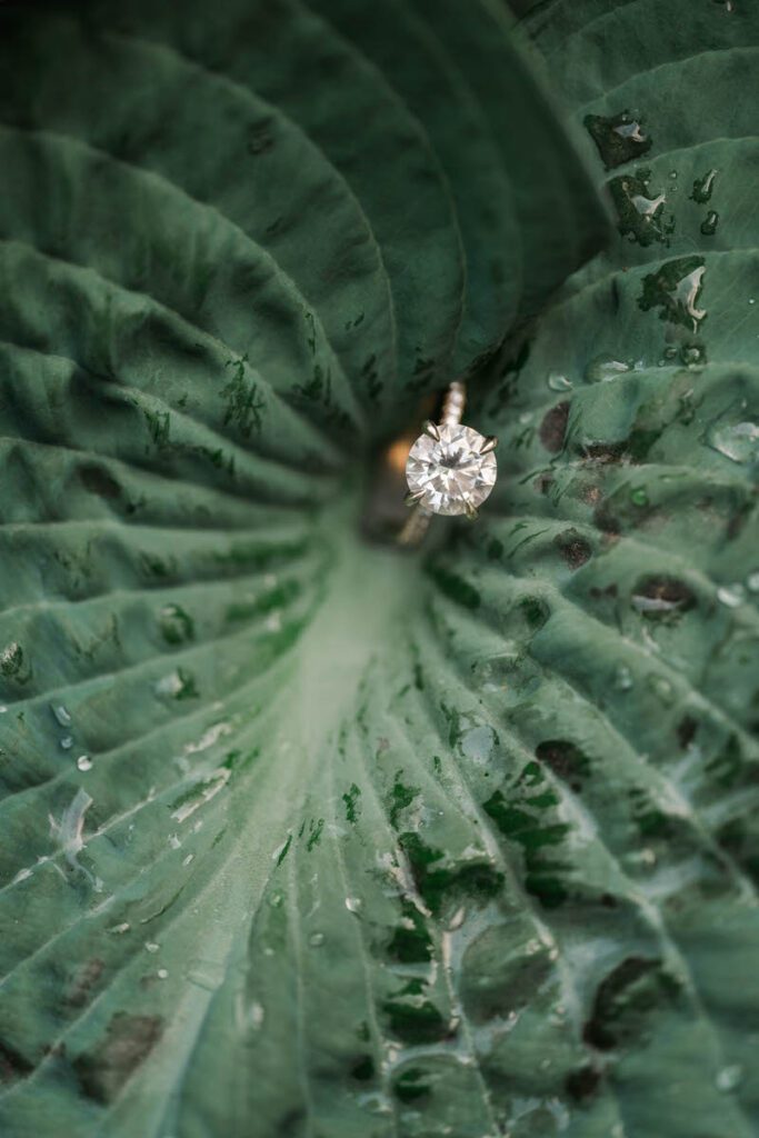 Close up of an engagement ring in Gratz Park
