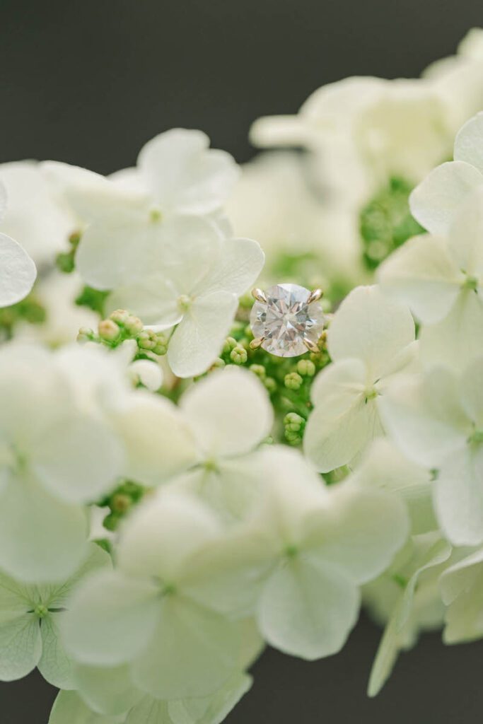 Close up of an engagement ring in Gratz Park