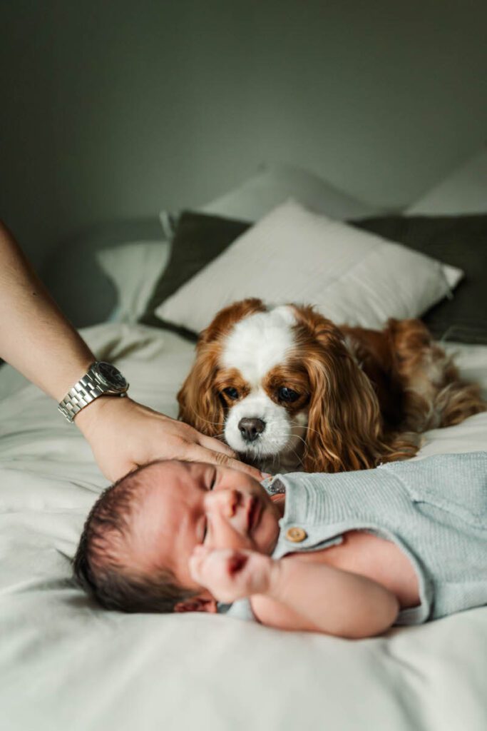 A newborn baby lays on bed while his pup looks on. 

Louisville In-Home Newborn Photographer

Michelle Bordenkircher Photography