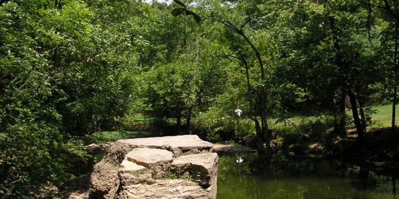 Louisville Spring Activities for Kids.
Cherokee Park