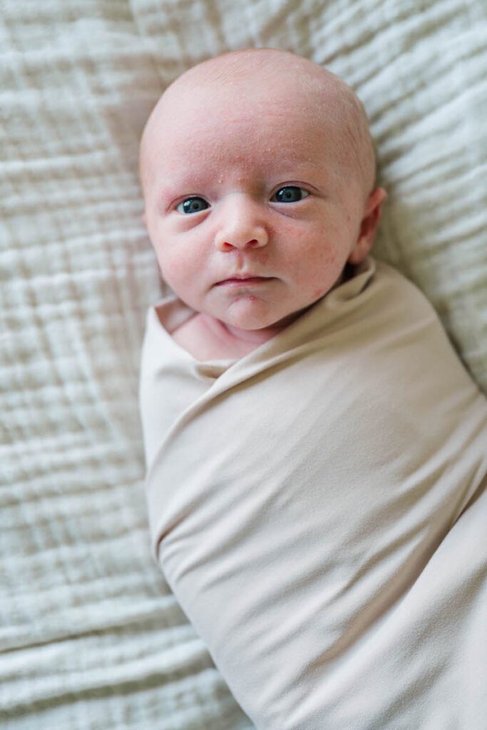 A baby boy is swaddled for his Louisville In-Home newborn session

Photos by Michelle Bordenkircher Photography